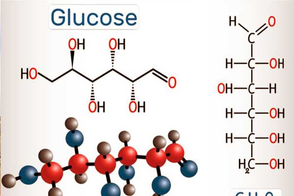 تركيب سكر الجلوكوز