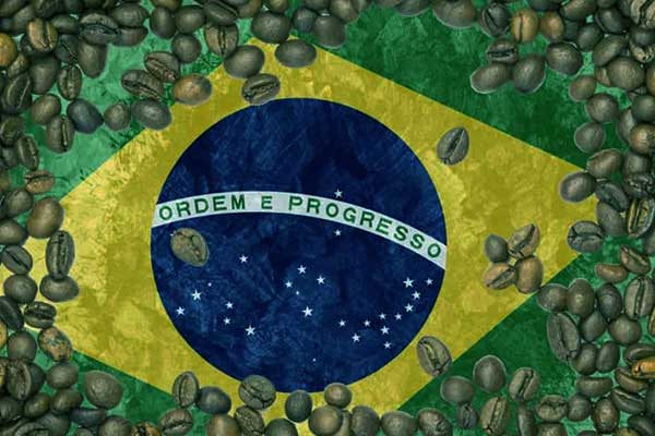 مميزات البن البرازيلي – أفضل الأنواع وأسعار جملة القهوة البرازيلية